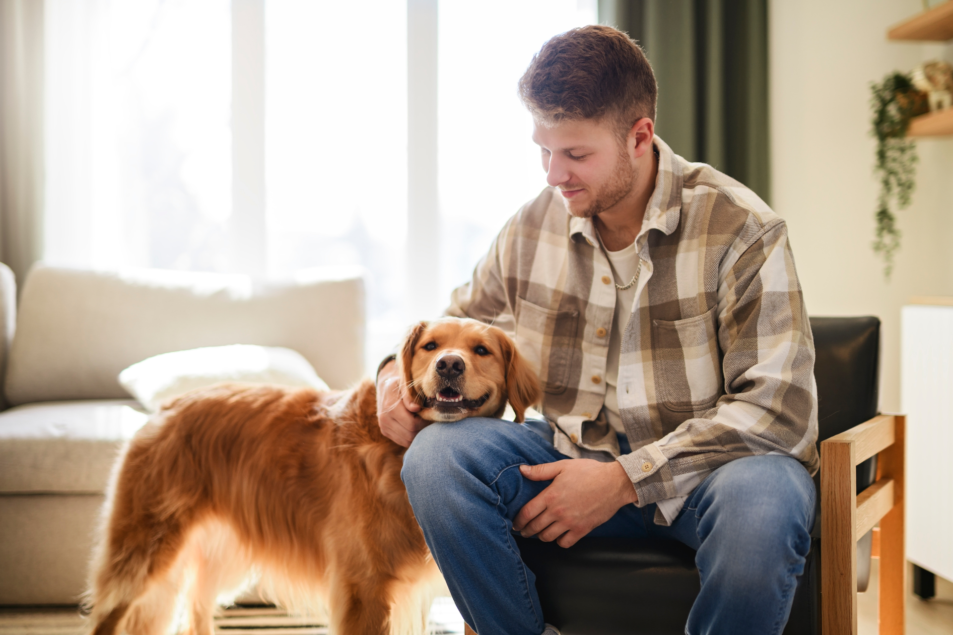 Young man sitting at home petting a golden retriever
